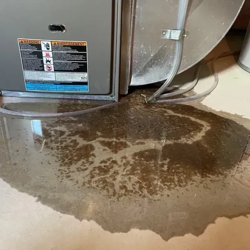 Appliance Leak Cleanup in Saint Jacob, IL